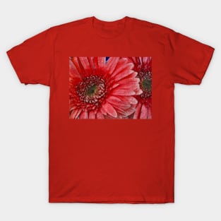 Daisies T-Shirt